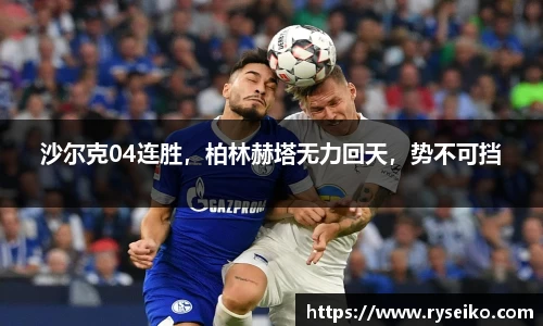 球速体育平台登录入口